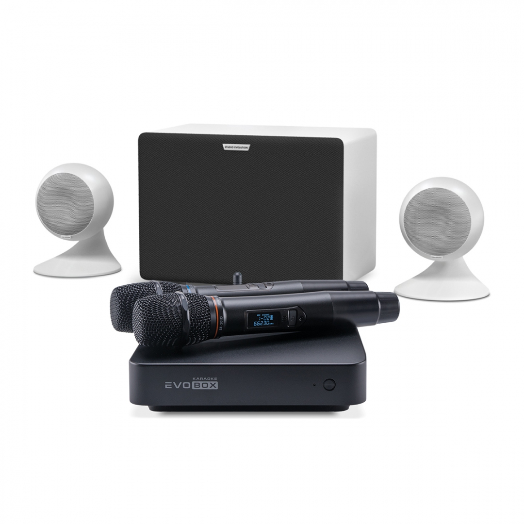 караоке-комплект EVOBOX Classic + EvoSound Sphere 2.1 в Удомле