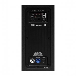 Активная акустическая система AST-310A в Удомле