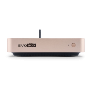 EVOBOX Classic караоке-система для дома в Удомле