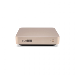 EVOBOX с микрофонами в Удомле
