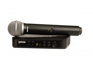 SHURE BLX24E/PG58 M17 вокальная радиосистема в Удомле
